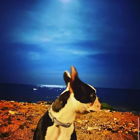 Apartmán Atico Duplex-las Vistas De Laia